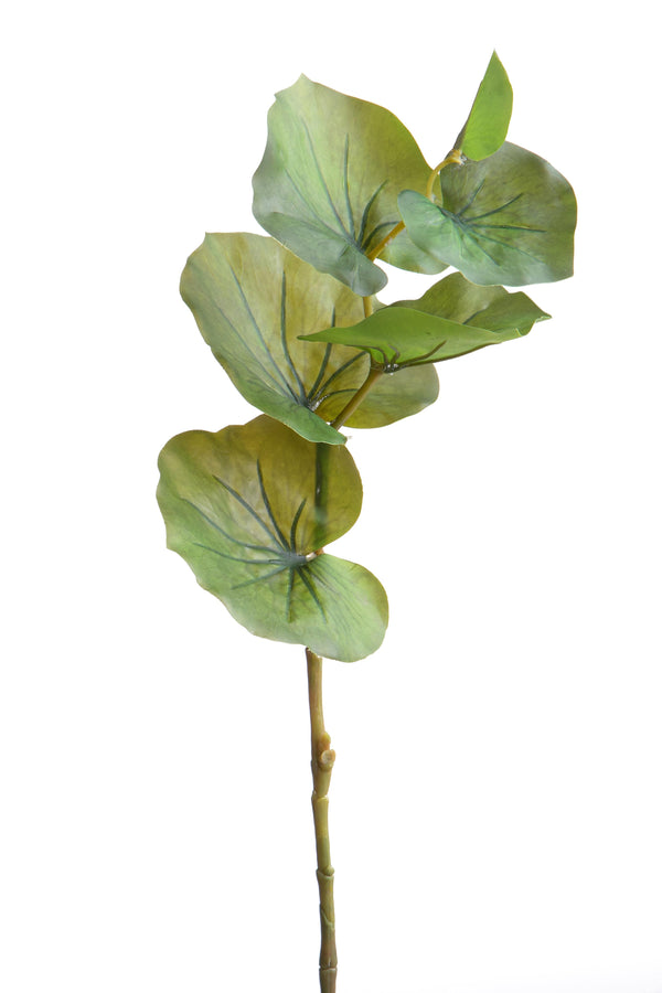 Set 12 Branches de Kalanchoé Artificiel Hauteur 74 cm Vert sconto