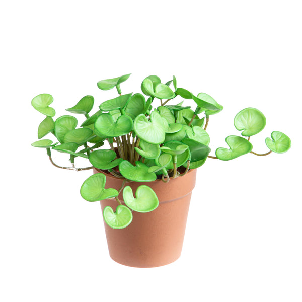 online Lot de 3 plantes hydrocotyles artificielles en pot composé de 3 branches hauteur 20 cm vert