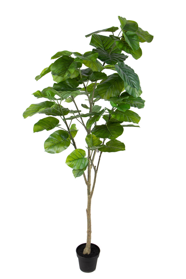 sconto Plante Artificielle de Ficus Real Touch avec 64 Feuilles en Pot Hauteur 200 cm Vert