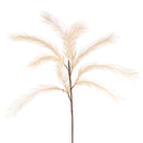 4 Pampas Artificiale con 11 Diramazioni Altezza 65 cm Marrone-1