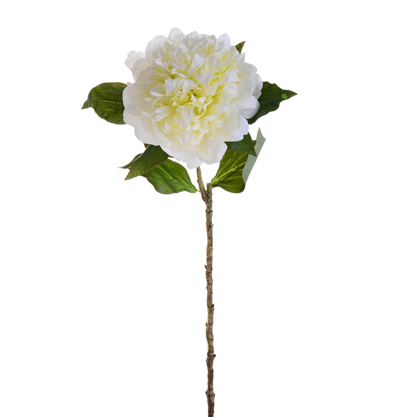 prezzo Lot de 3 pivoines artificielles hauteur 57 cm blanc