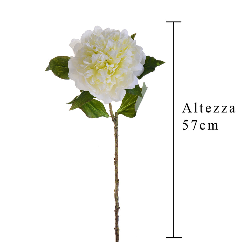 2 Peonia Artificiale Altezza 57 cm Bianco-2