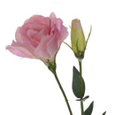 4 Lisianthus Artificiali Composto da 3 Fiori Altezza 75 cm Rosa-3