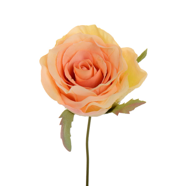 sconto Lot de 12 Têtes de Roses Artificielles avec Tige Hauteur 10 cm