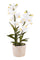 Orchidée Artificielle avec Pot Hauteur 51 cm Blanc