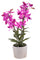 Orchidée artificielle avec vase Hauteur 51 cm Rose