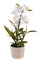 Orchidée Artificielle avec Pot Hauteur 43 cm Blanc