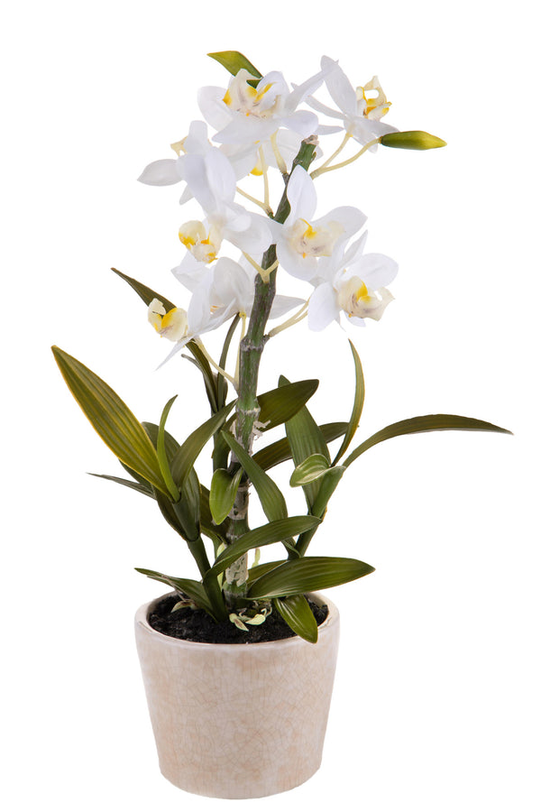 prezzo Orchidée Artificielle avec Pot Hauteur 43 cm Blanc