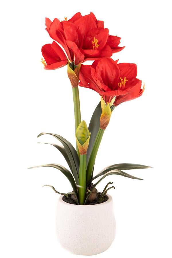 online Amaryllis artificielle avec pot Hauteur 64 cm Rouge