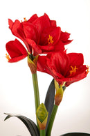 Amaryllis Artificiale con Vaso Altezza 64 cm Rosso-3