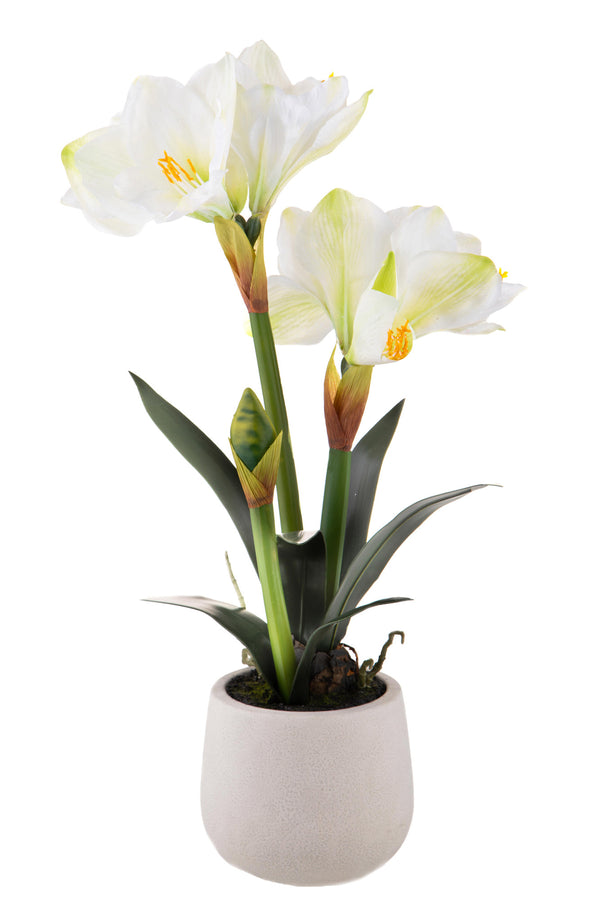 prezzo Amaryllis artificielle avec pot Hauteur 64 cm Blanc