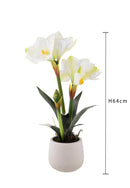 Amaryllis Artificiale con Vaso Altezza 64 cm Bianco-2