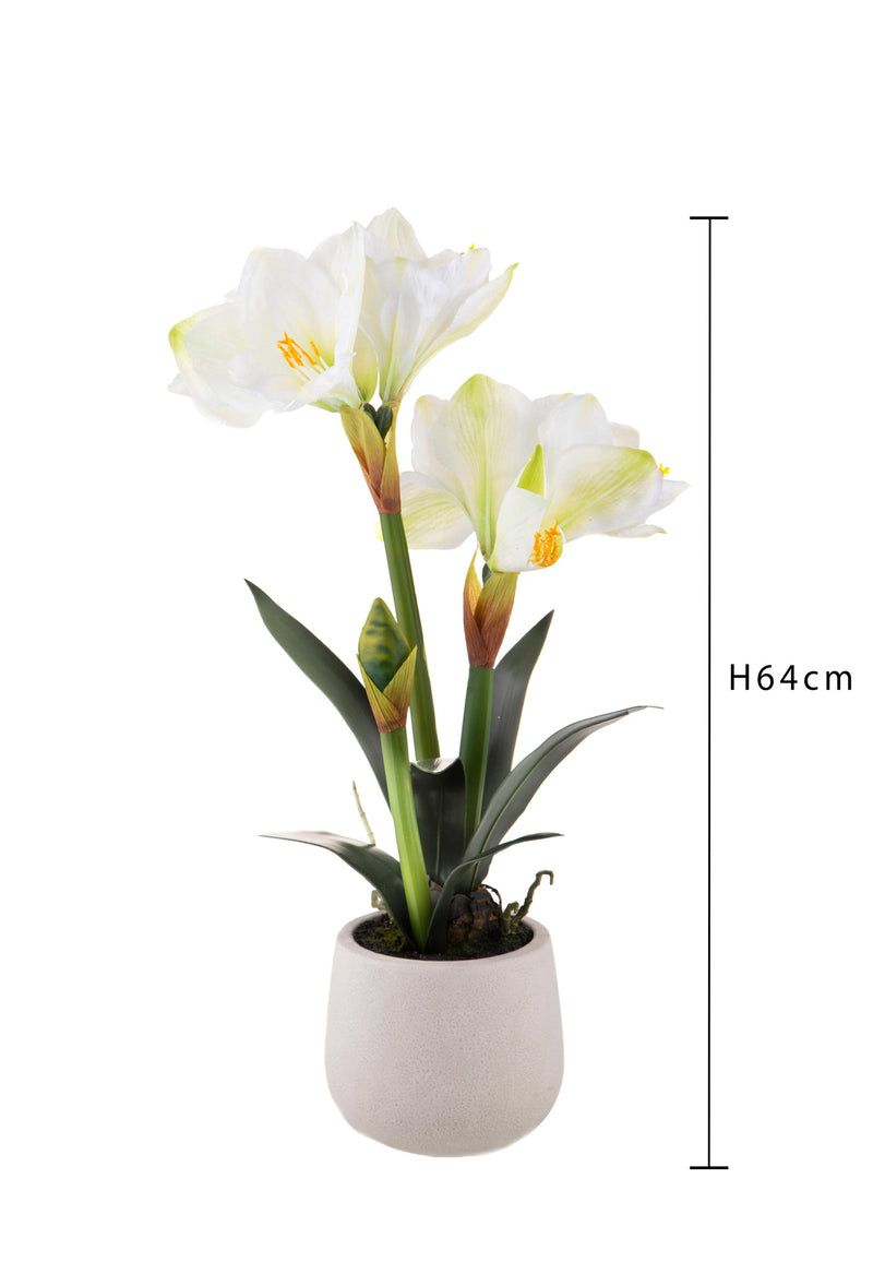 Amaryllis Artificiale con Vaso Altezza 64 cm Bianco-2