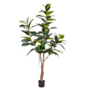 Ficus Rubber Artificiale con 65 Foglie Altezza 180 cm-1