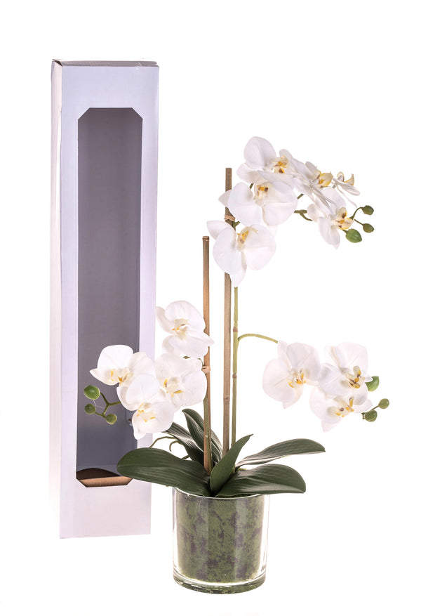 Plante Artificielle de Phalaenopsis Artificiel avec Pot Hauteur 56 cm Blanc sconto