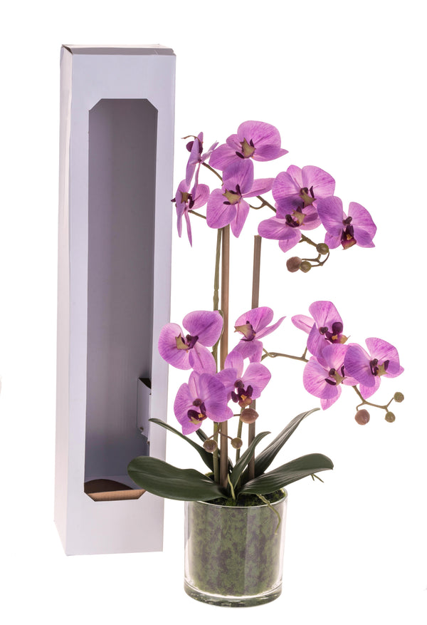 Plante Artificielle de Phalaenopsis Artificiel avec Pot Hauteur 56 cm Rose prezzo