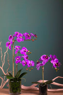 Pianta Artificiale di Phalaenopsis Artificiali con Vaso Altezza 56 cm Rosa-3