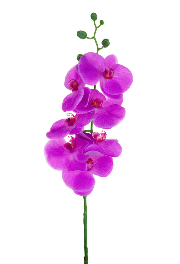 prezzo Set 6 Phalaenopsis artificiels avec 7 fleurs Hauteur 96 cm Violet