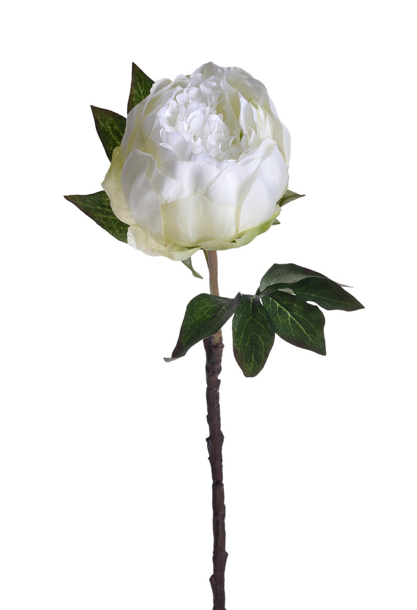 Lot de 6 pivoines artificielles hauteur 48 cm blanc sconto