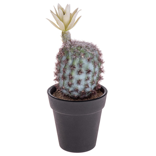 sconto Set 6 Cactus Artificiels avec Pot Hauteur 18 cm