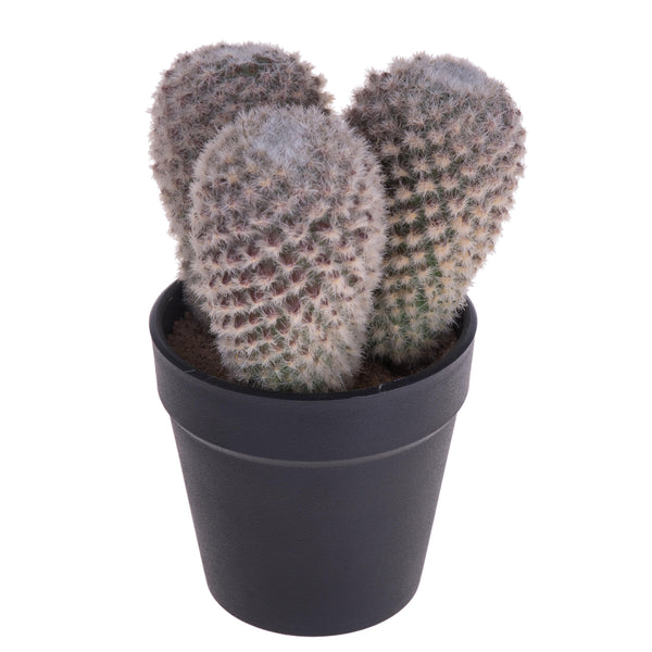 Lot de 3 Cactus Artificiels X 3 avec Vase Hauteur 16 cm online