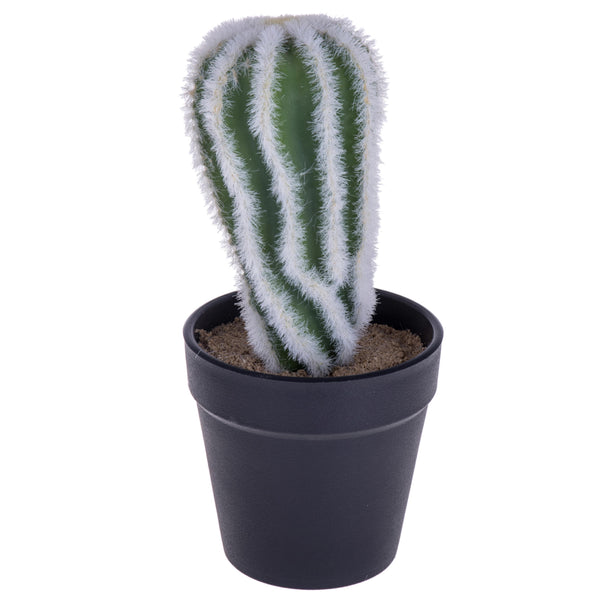 online Lot de 4 cactus artificiels avec pot hauteur 20 cm