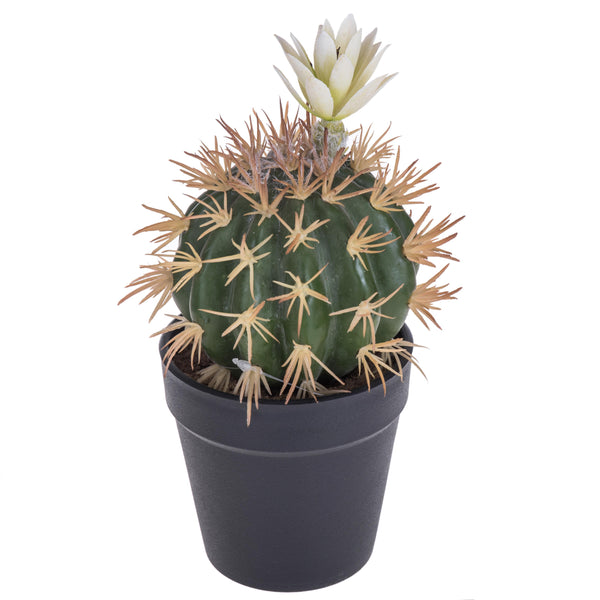 acquista Lot de 3 cactus artificiels avec fleurs en pot hauteur 19 cm