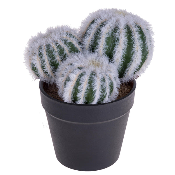 prezzo Set 4 Cactus Artificiels X 3 avec Pot Hauteur 12 cm