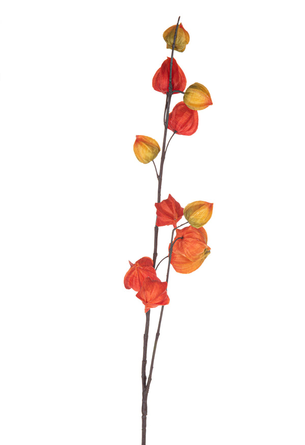 Ensemble de 3 branches artificielles avec feuilles de Physalis online