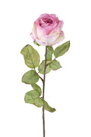 2 Rose Artificiali con Dry Altezza 62 cm Rosa-1