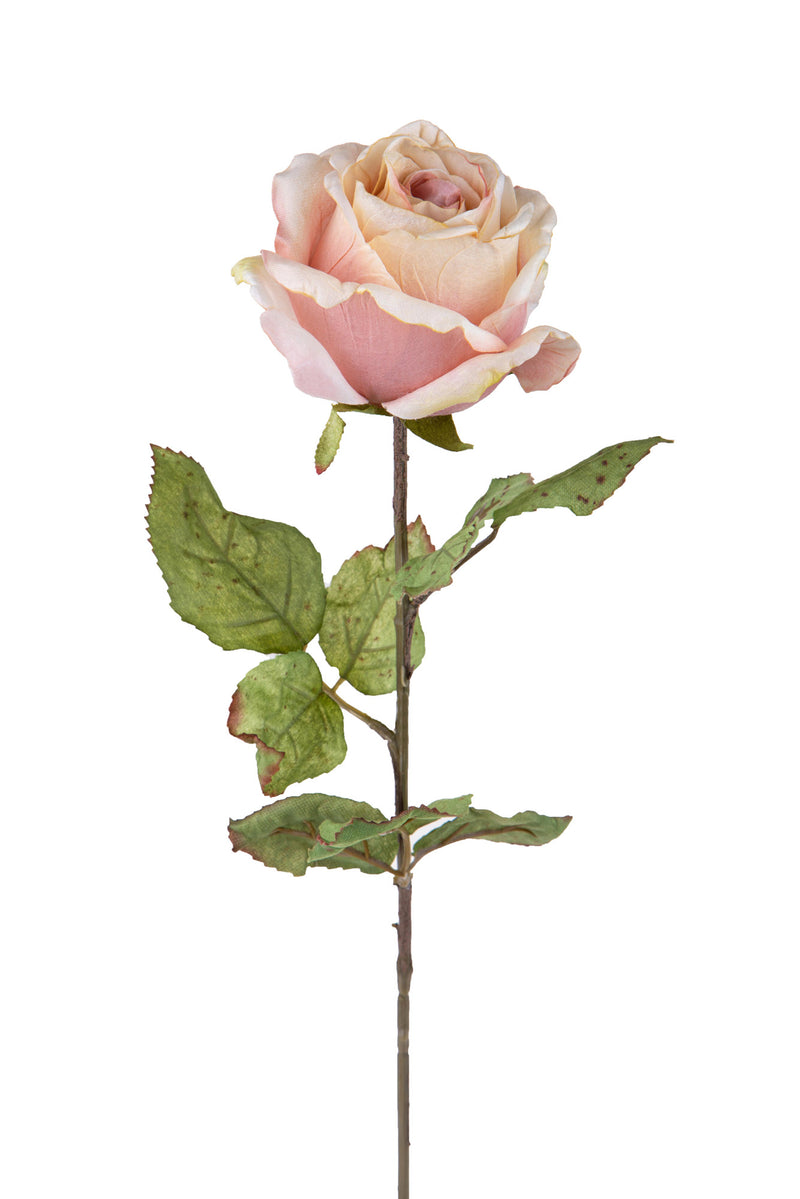 2 Rose Artificiali con Dry Altezza 62 cm -1