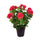 Set 2 Géraniums Artificiels avec Vase Hauteur 47 cm Rouge