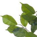 8 Rami di Ficus Artificiale con 42 Foglie Altezza 60 cm Verde-3