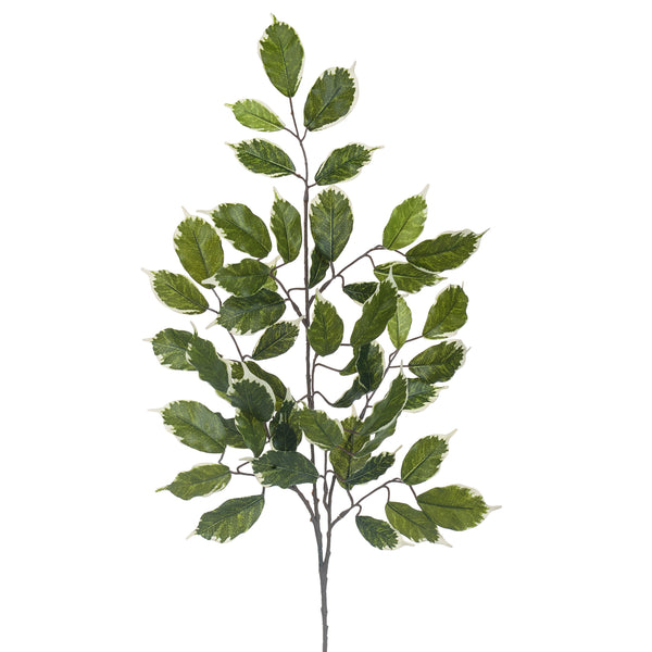 Set 16 Branches de Ficus Artificiels avec 42 Feuilles Hauteur 60 cm Vert acquista