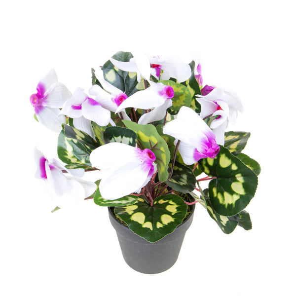 Set 2 Cyclamen Artificiel avec Pot Hauteur 32 cm Blanc acquista