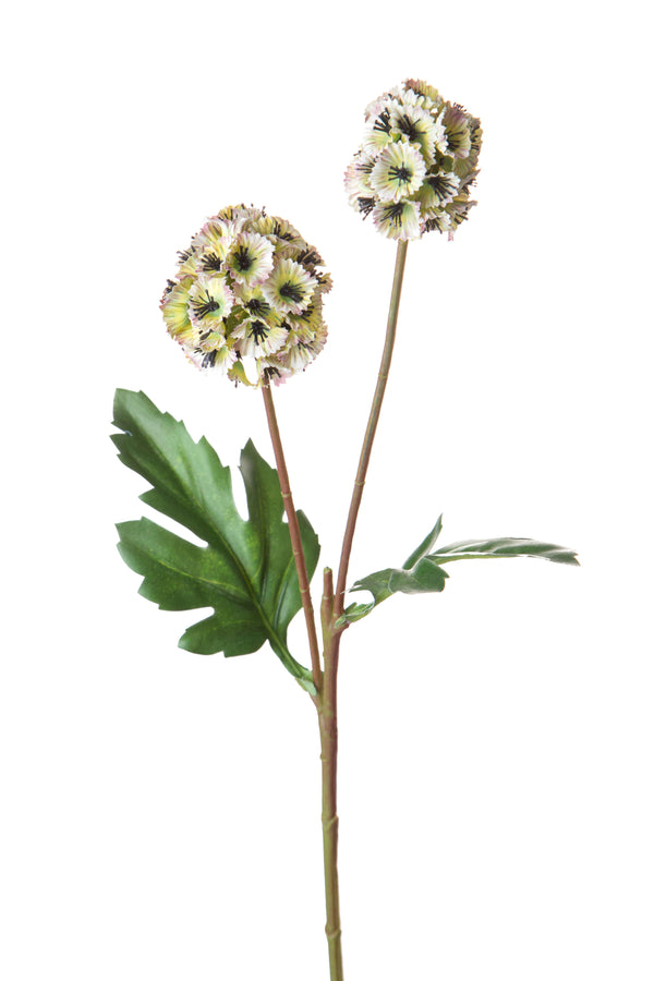 Lot de 6 branches artificielles de Scabiosa Stellata avec fleurs artificielles hauteur 58 cm vert prezzo