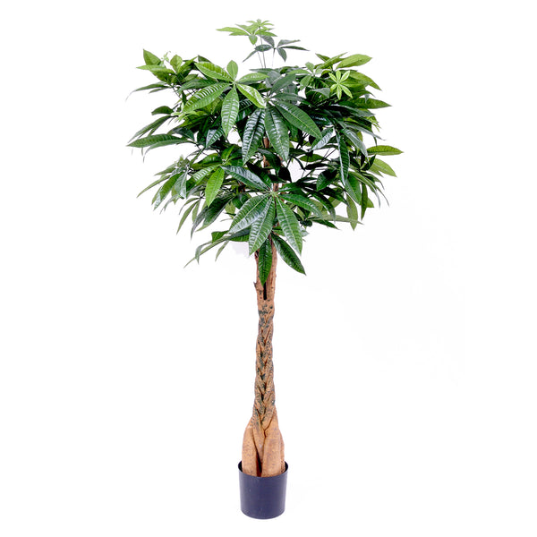 Pachira artificiel avec 469 feuilles avec vase Hauteur 155 cm Vert sconto