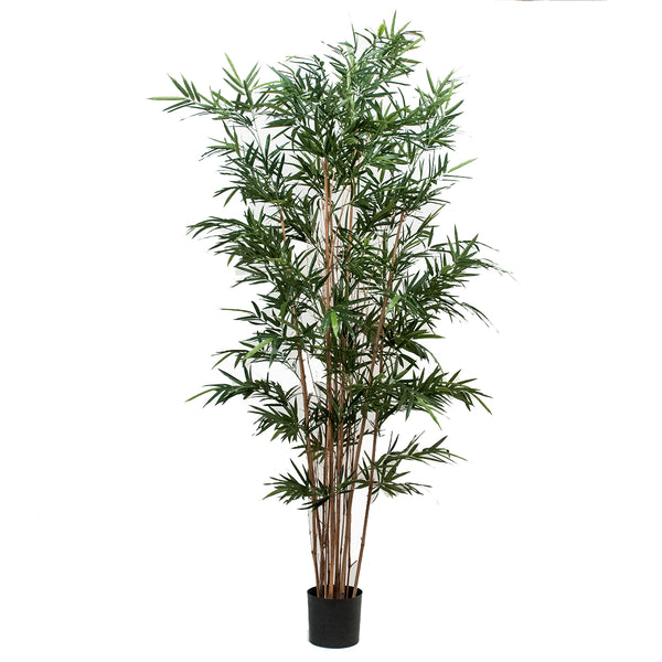 online Bambou Royal Artificiel à 7 Branches avec Pot Hauteur 210 cm Vert