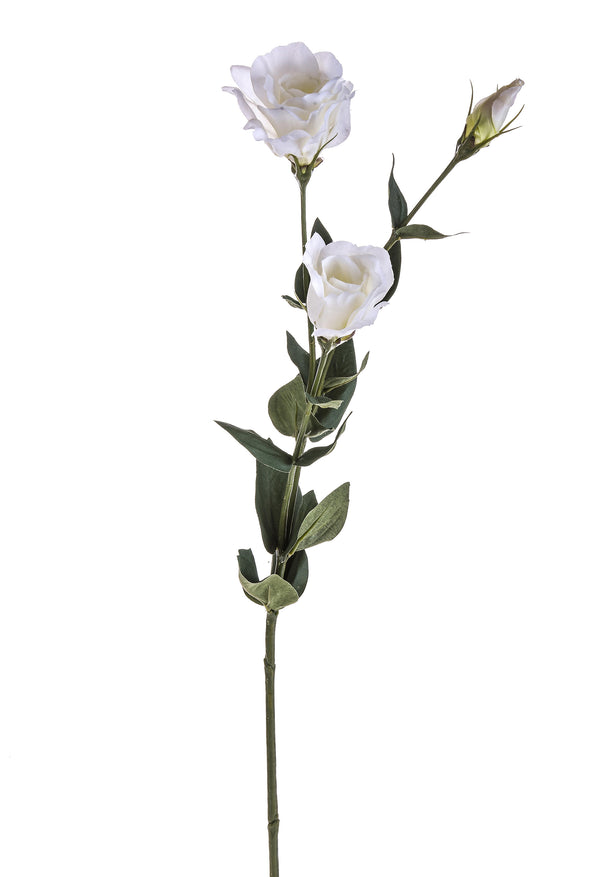 Lot de 6 lisianthus artificiels avec fleurs hauteur 75 cm blanc sconto