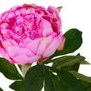 2 Peonia Artificiale Altezza 80 cm Rosa-3