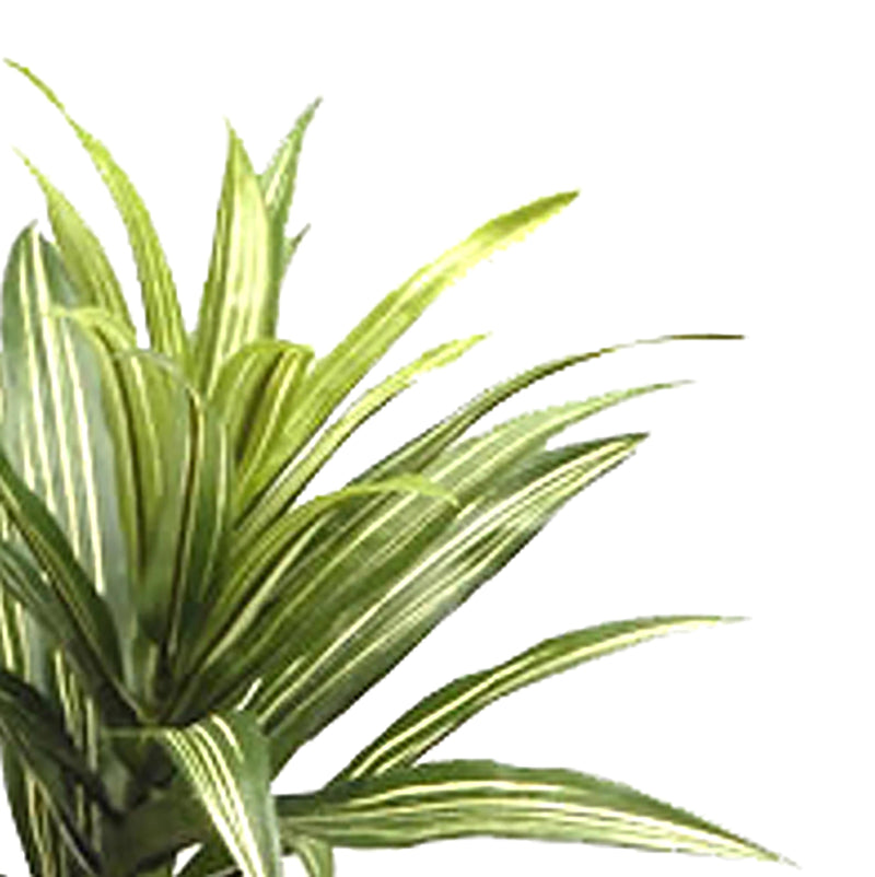 Dracena Artificiale con 141 Foglie Altezza 83 cm Verde-3