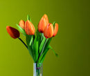 2 Mazzi di 7 Tulipani Artificiali Altezza 37 cm Arancio-5