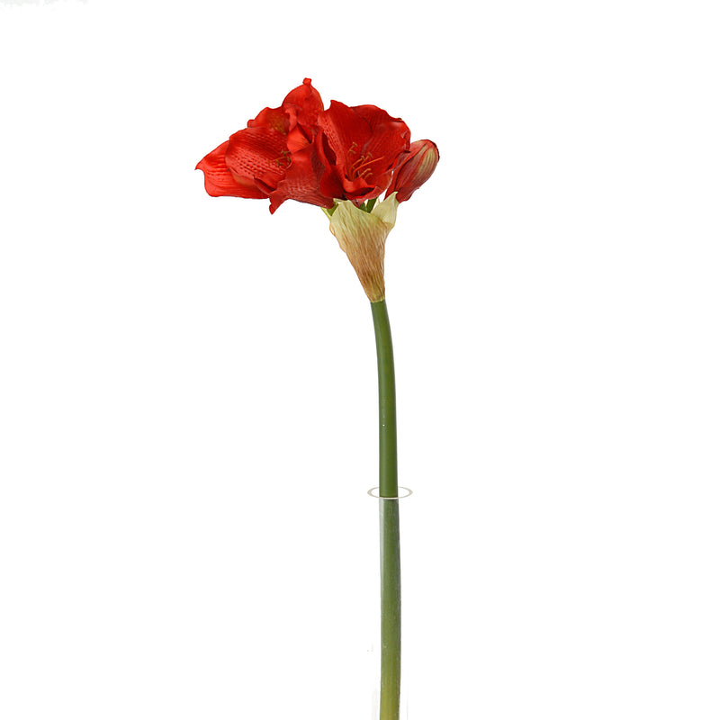 2 Fiori Artificiali di Amaryllis Altezza 77 cm Rosso-1