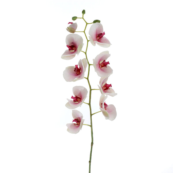 online Phalaenopsis artificiel Hauteur 95cm Blanc