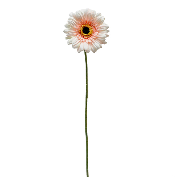 Lot de 12 Gerberas Artificiels Hauteur 63 cm Rose acquista