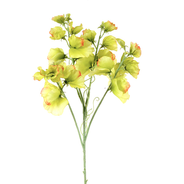 acquista Set 4 fleurs de pois artificielles Hauteur 67 cm Vert