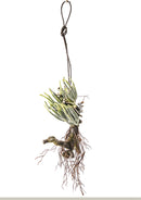 Tillandsia Artificiale con 16 foglie Altezza 50 cm Verde-1