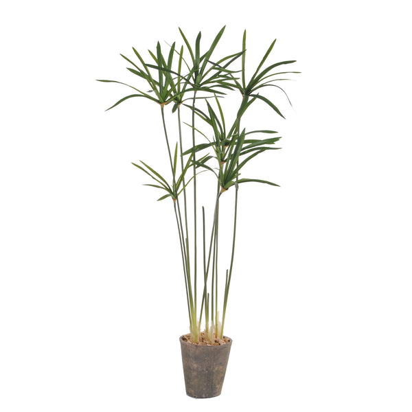 Country Papyrus Artificiel avec Vase Hauteur 105 cm Vert sconto