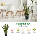 Pianta Artificiale Sanseveria Ø15x80 cm con Vaso  Verde-5