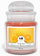 Bougie Parfumée 410 gr en Pot Verre Cire Végétale Explosion Orange Fraîche